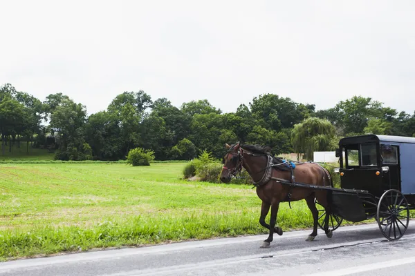 Caballo y carruaje en el país amish —  Fotos de Stock