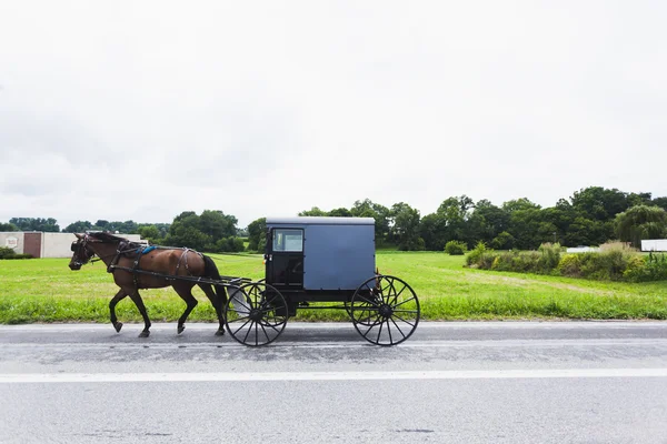 Cavallo e carrello nel paese di Amish — Foto Stock