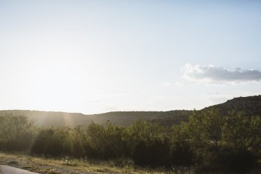 lush countryside landscape in Texas