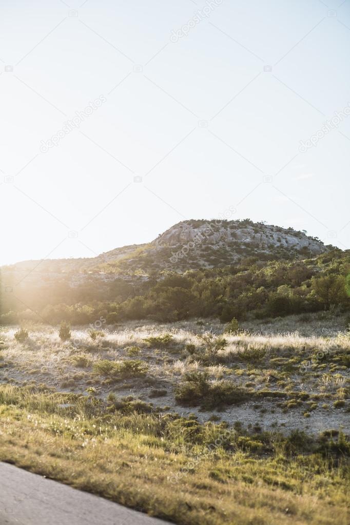 field of trees and hills in countryside Texas