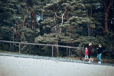 Aile yaz tatilini birlikte geçirip orman yolunda yürüyor. Aktif insanlar ormanda dışarıda vakit geçirirler.