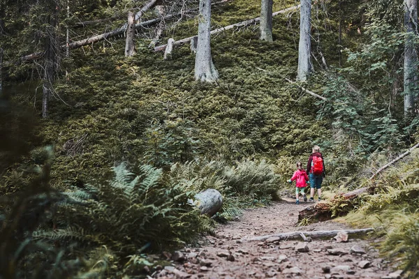 Aile Gezisi Doğaya Yakın Anne Küçük Kız Ormanda Yürüyorlar Aktif — Stok fotoğraf