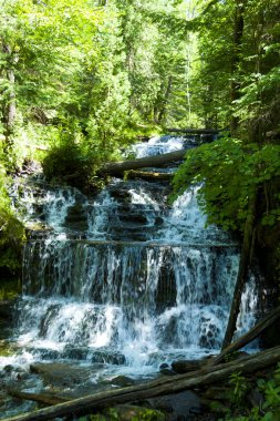 şelale yeşil orman, michigan, ABD