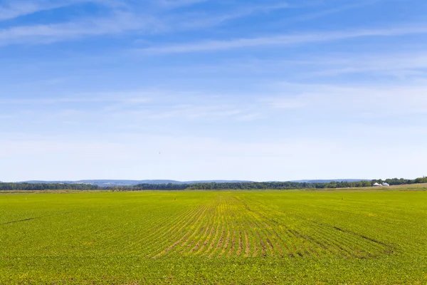 Platteland landschap — Stockfoto