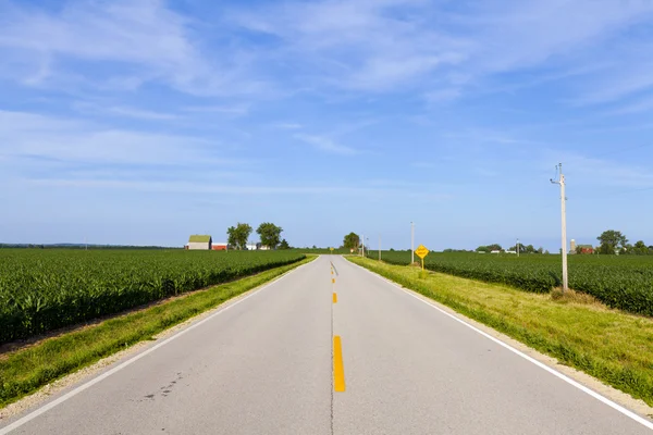 Countryside Road — Stock Photo, Image