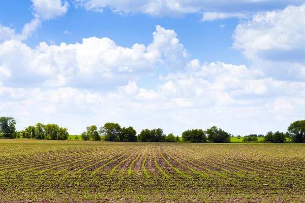 Amerikanische Landschaft — Stockfoto