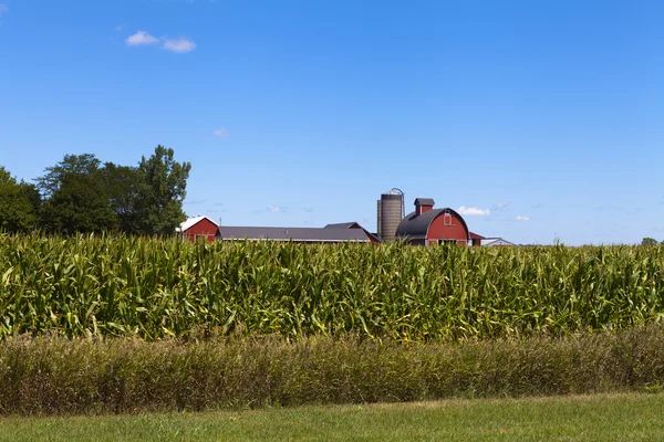 Granja americana — Foto de Stock