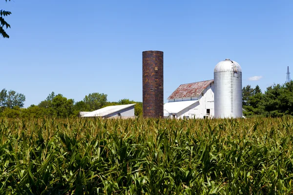 Fazenda americana — Fotografia de Stock