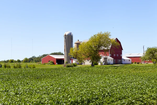 American Farm — Stock Photo, Image