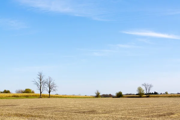 Terreni agricoli — Foto Stock