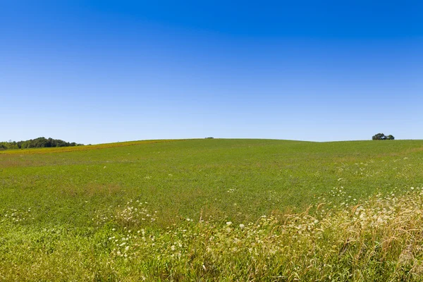 Paisaje rural — Foto de Stock