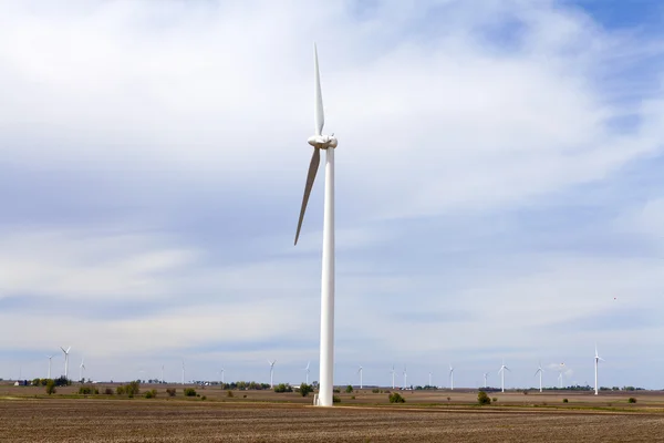 Windfarm — Stock Photo, Image