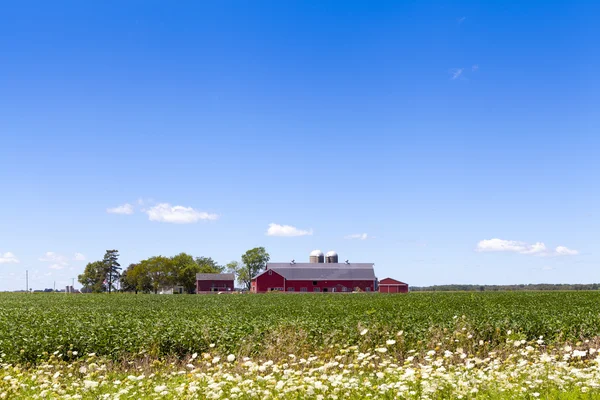 Amerikanische Farm — Stockfoto