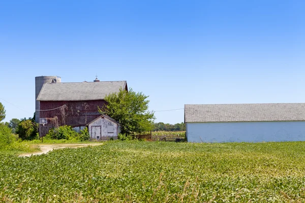 Granja americana — Foto de Stock