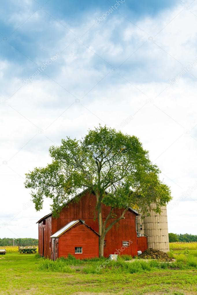 Farm with Moody Sky