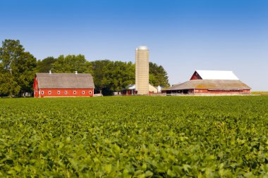 Amerikan country grubu mavi gökyüzü ile