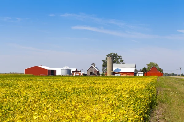 Amerikanska landsbygden med blå himmel — Stockfoto