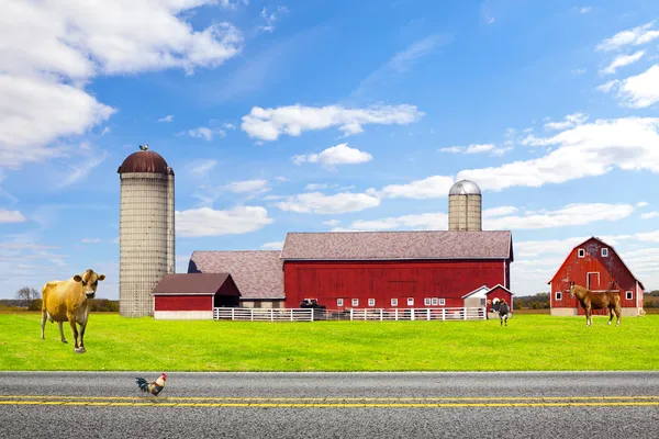 미국 시골 레드 푸른 하늘 농장 — 스톡 사진