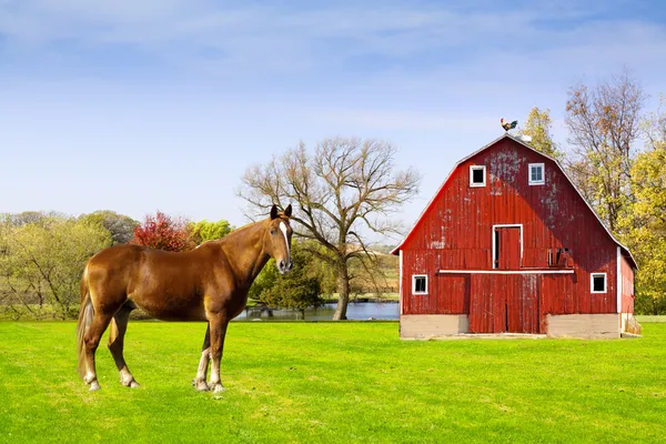 Amerikaanse platteland — Stockfoto