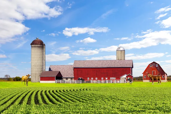 Fazenda vermelha do campo americano com céu azul — Fotografia de Stock