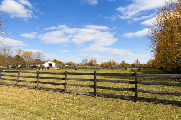 Wooden Fence on American Countryside — Stock Photo, Image