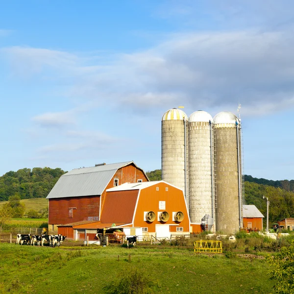 Amerykańska farma — Zdjęcie stockowe