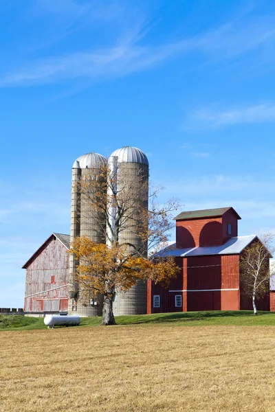 Campo americano con cielo azul — Foto de Stock