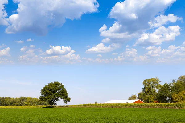 Amerikanisches Ackerland mit blauem Himmel — Stockfoto