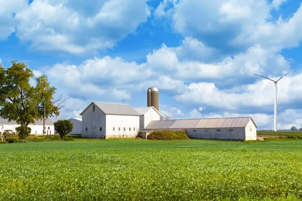 Agricoltura — Foto Stock