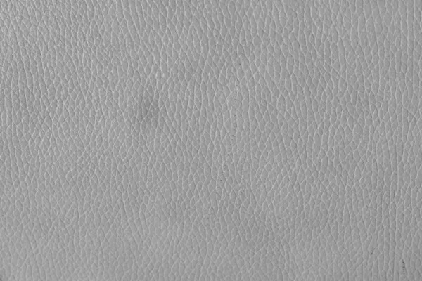 Interior Design - Leather Background — Stock Photo, Image