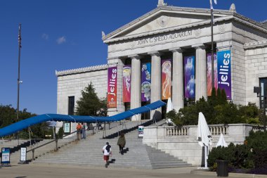 Chicago, Illinois - 8 Eylül: shedd Akvaryumu olan kapalı genel akvaryum Chicago, Illinois, Amerika Birleşik Devletleri'nde, 30 Mayıs 1930 8 Eylül 2012 yılında chicago, Illinois, ABD tarihinde açıldı