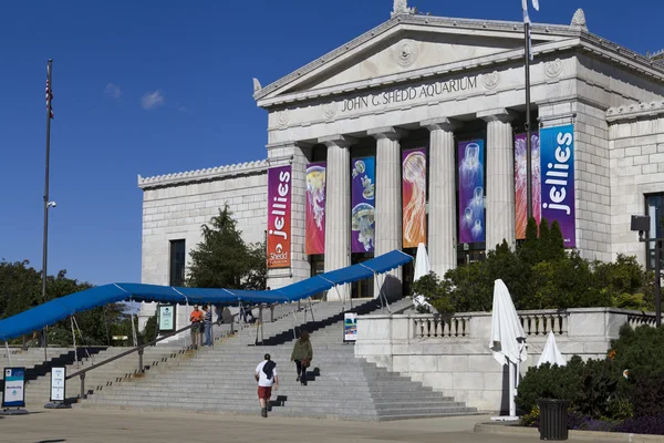 CHICAGO, ILLINOIS - SEP 8: The Shedd Aquarium is an indoor public aquarium in Chicago, Illinois in the United States that opened on May 30, 1930, on September 8, 2012 in Chicago, Illinois, USA — Stock Photo, Image