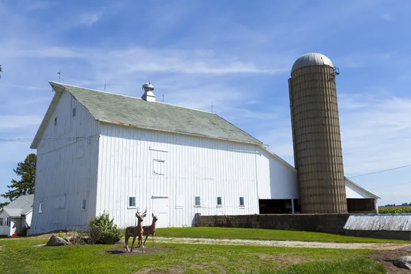 Paesaggio agricolo con vecchio fienile — Foto Stock