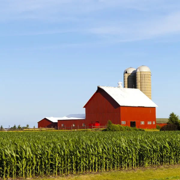 Ferme de campagne le matin — Photo