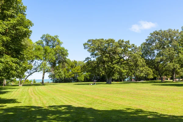 Amerikanisches Ackerland mit blauem Himmel — Stockfoto