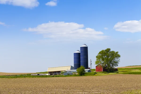 Campo americano en horario de verano — Foto de Stock