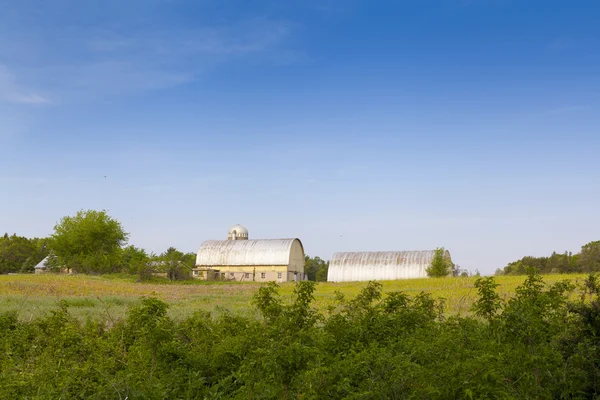 American Countryside in Summer Time — Stock Photo, Image