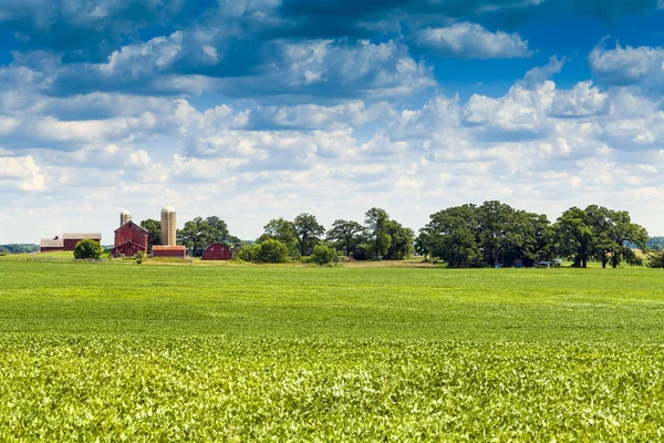 American Countryside in Summer Time — Stock Photo, Image