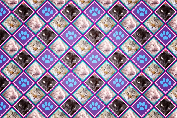 Cats Wallpaper (Vintage Pattern Page) — Stock Photo, Image