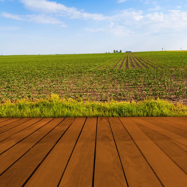 Alte Tischfläche mit verschwommener Landschaft — Stockfoto