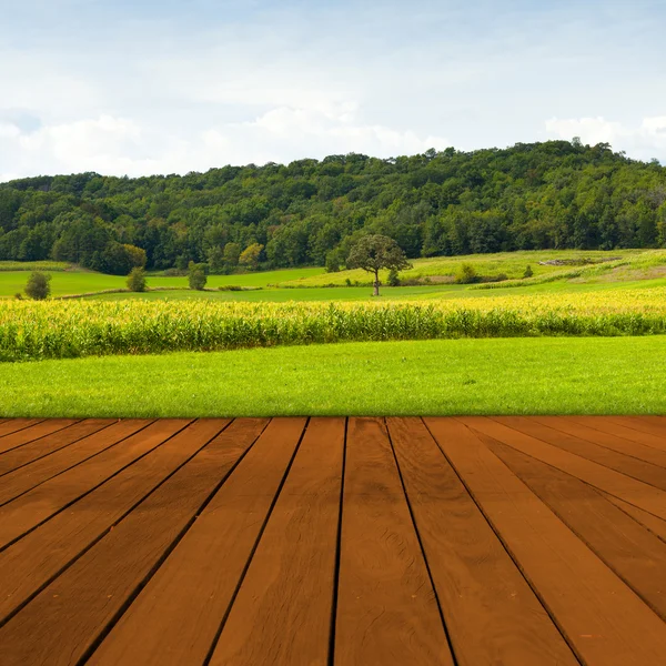 Old Table Surface With Blurred Countryside Landscape — Stock Photo, Image