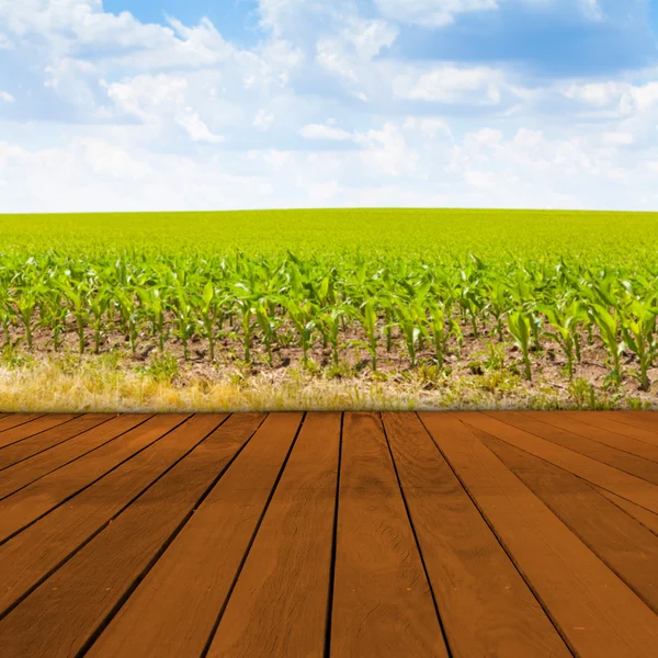 Old Table Surface With Blurred Countryside Landscape — Stock Photo, Image