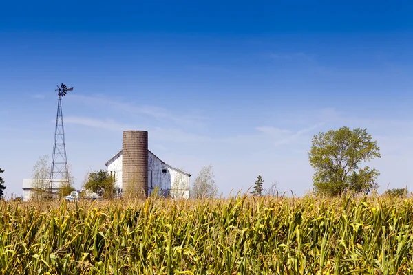 美国国家农场与蓝蓝的天空 — 图库照片