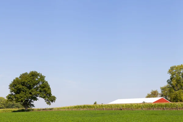 青い空と伝統的なアメリカの赤い納屋 — ストック写真