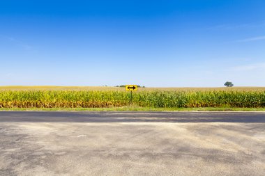 American Country Road Side View clipart