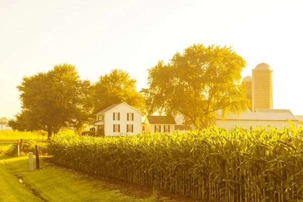 American Countryside Landscape With White Barn — Stock Photo, Image