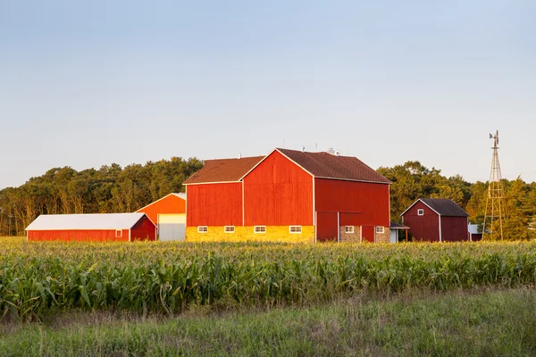 Tradizionale fattoria rossa americana in estate — Foto Stock