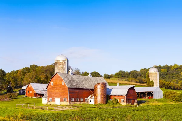 Traditionele Amerikaanse rode boerderij in de zomer — Stockfoto