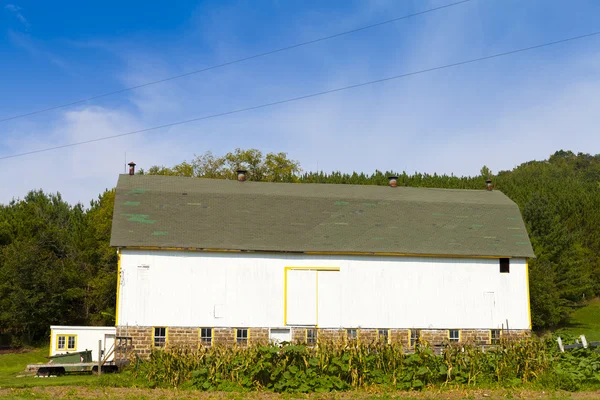 夏の伝統的なアメリカの白い農場 — ストック写真