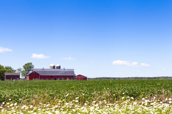 Yaz aylarında geleneksel Amerikan kırmızı çiftlik — Stok fotoğraf